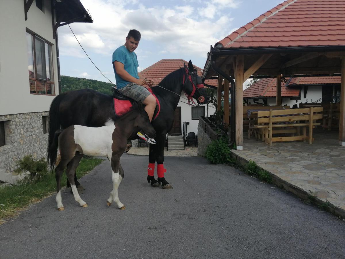 Etno Selo Lelic Bed and Breakfast Valjevo Eksteriør billede